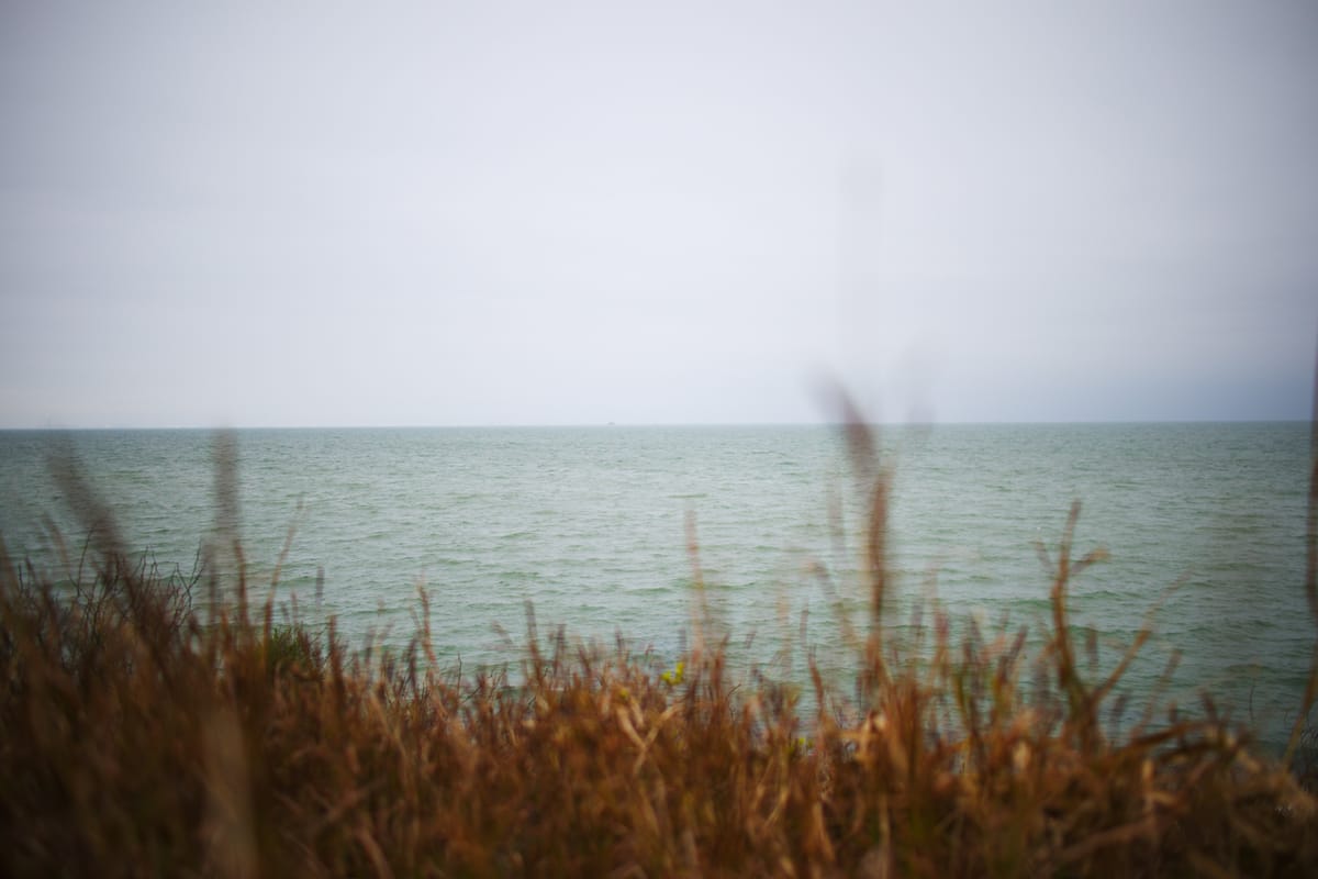 Sand Dune Lawsuit Pits Captiva Restaurant Against Erosion District