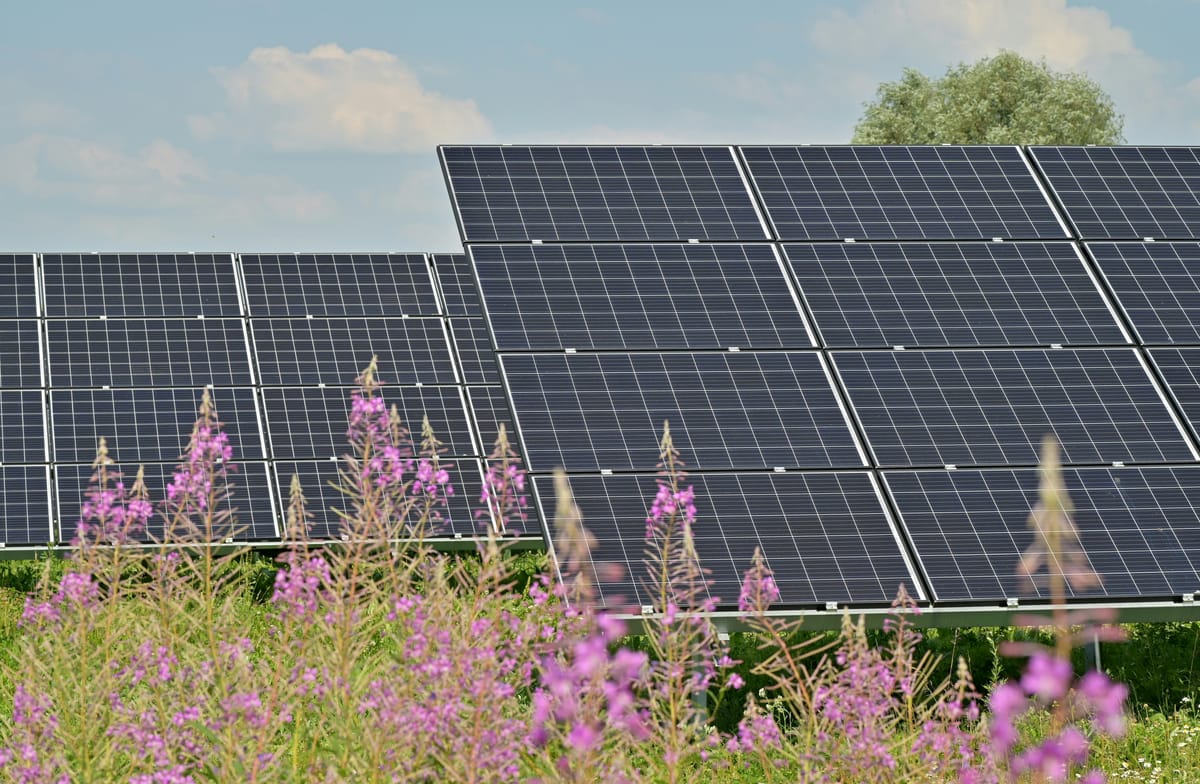 Out-of-State Solar Developers Sue Maine Over New Billing Law