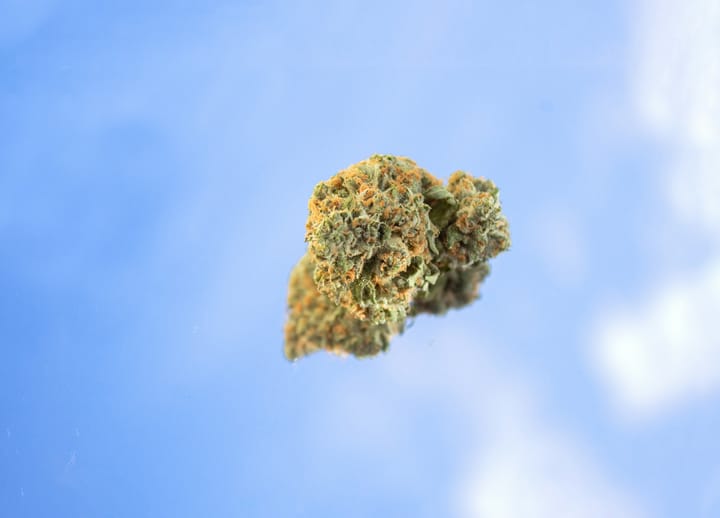 Nature’s Touch Lawsuit Narrowed as Hoboken Cannabis Case Moves Forward